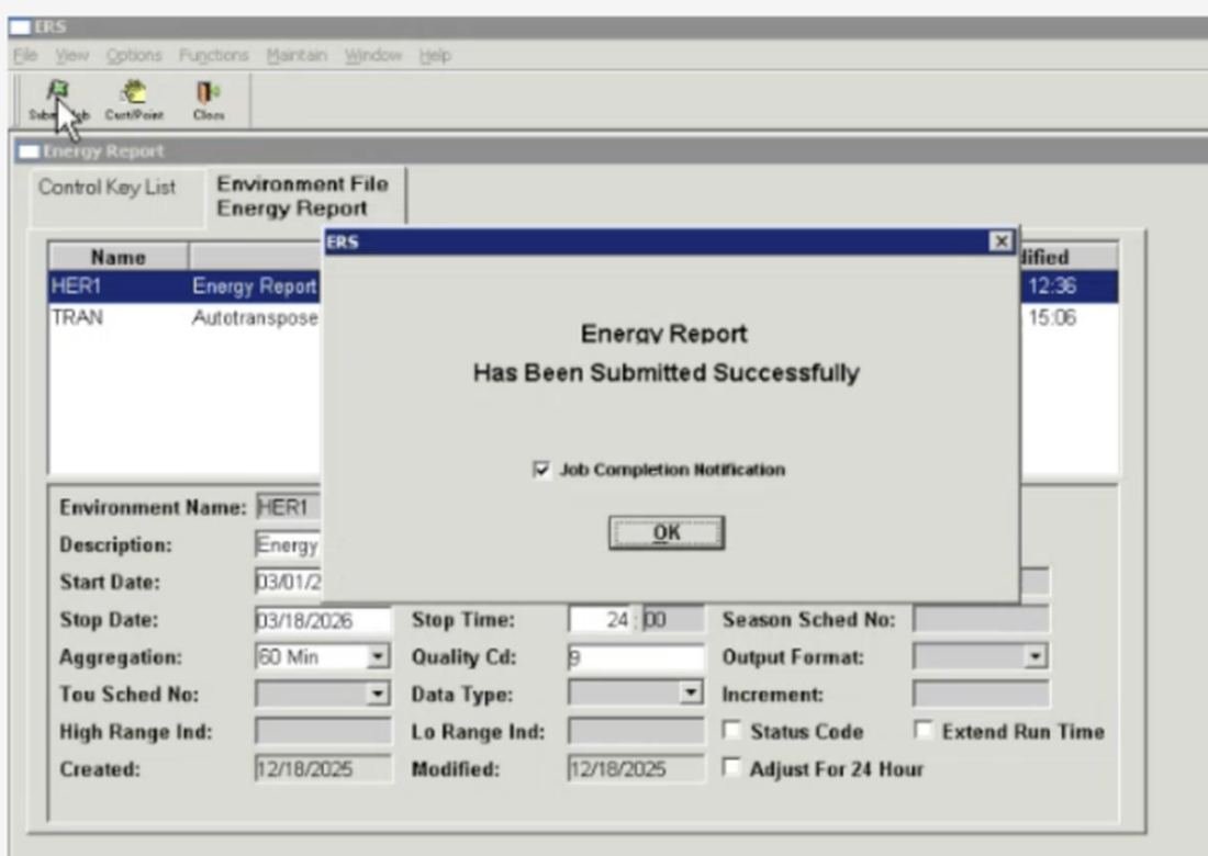 ERS dialog over the Environment File tab reading Energy Report Has Been Submitted Successfully, with a checked Job Completion Notification box and an OK button.